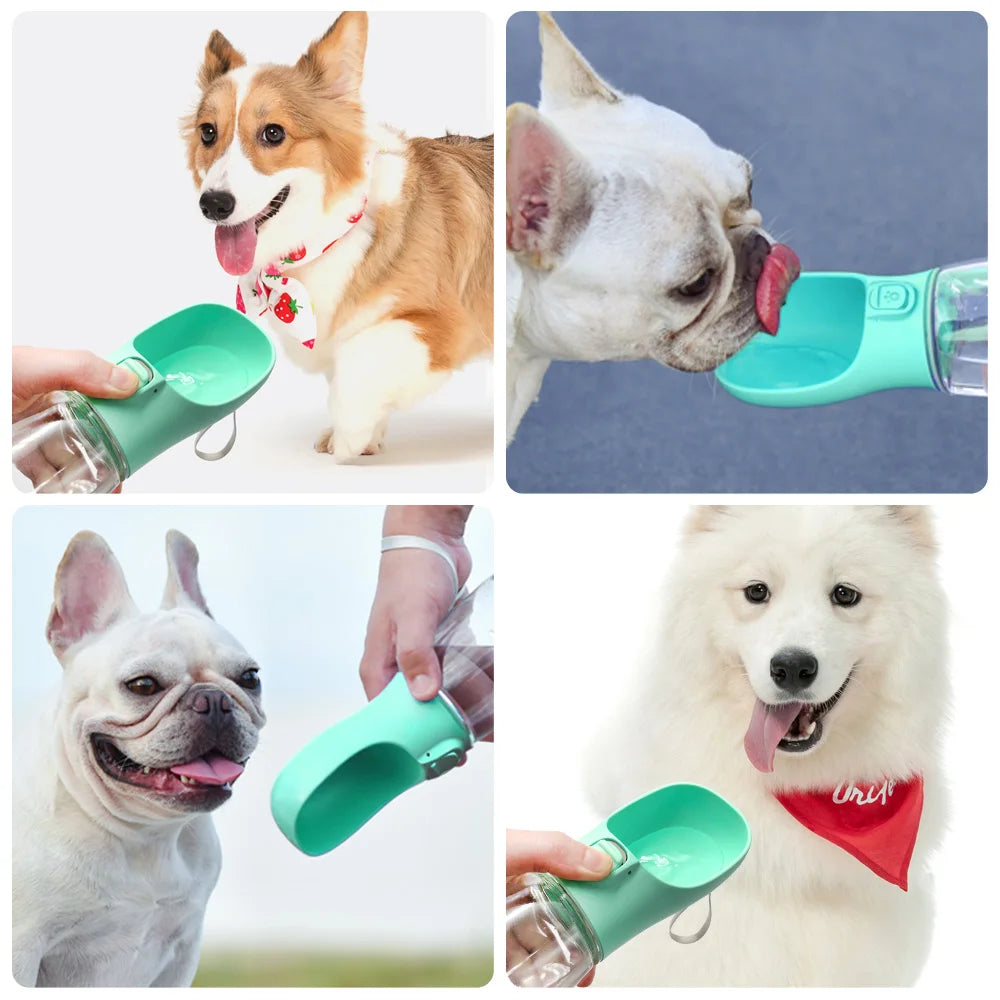 HydroDog – Fresh Water Anytime, Anywhere