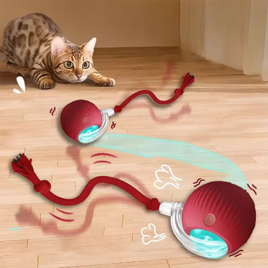 PlayPaw – The Smart Cat Action Toy