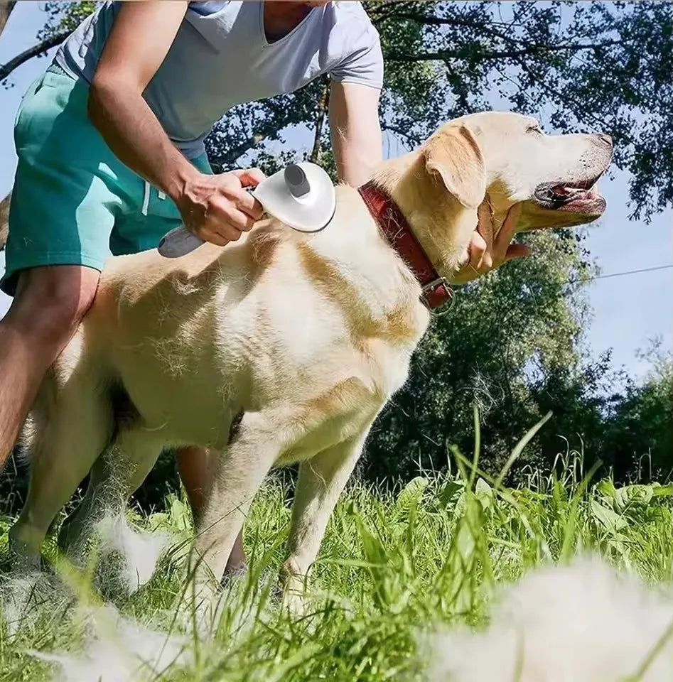 FurMaster – Self-Cleaning Pet Grooming Brush